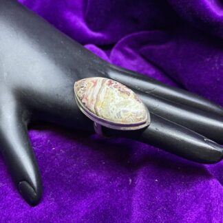 925 Ring with Crazy Lace Agate.  Size 7
