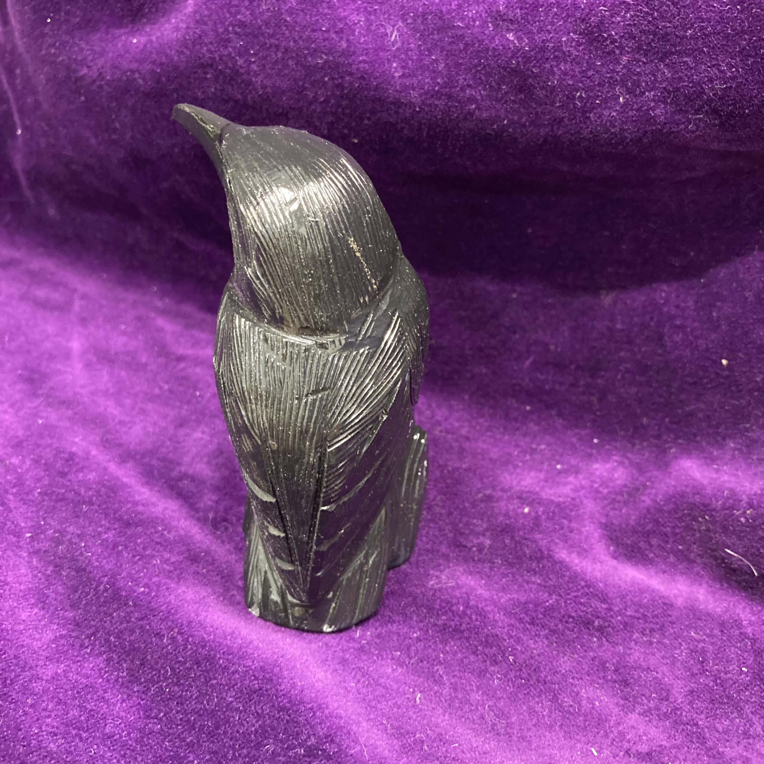 raven black onyx back view